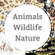 Wildlife Animals Nature Fabrics